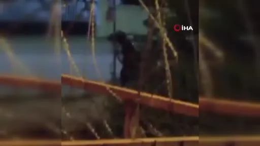 Arnavutköy’de yürek burkan görüntüler: Dakikalarca atı dövdü