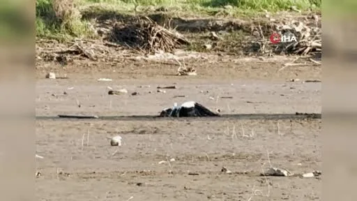 Balçığa saplanan leyleğin imdadına itfaiye yetişti