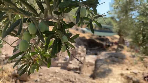 Antandros Antik Kenti’nde bin 600 yıllık kilise gün yüzüne çıkarılıyor