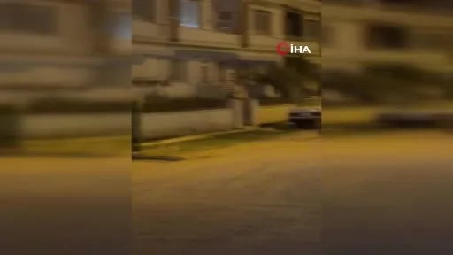 Karacabey’de yaban domuzları yerleşim alanına indi