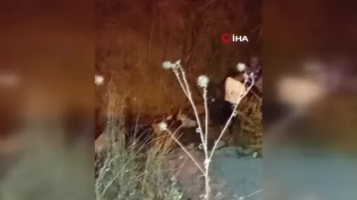 İstanbul’da iş makineli inek kurtarma operasyonu