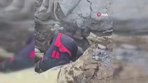Göçük altında kalan 3 koyunu itfaiye kurtardı
