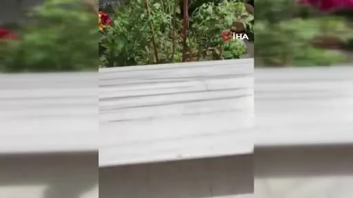 Evlerini mıknatısla temizliyorlar