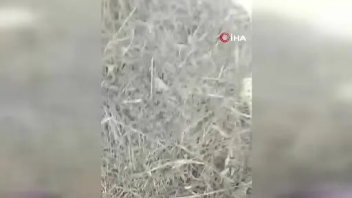 Tuzla’da otluk alanda çıkan yangın gecekonduyu küle çevirdi