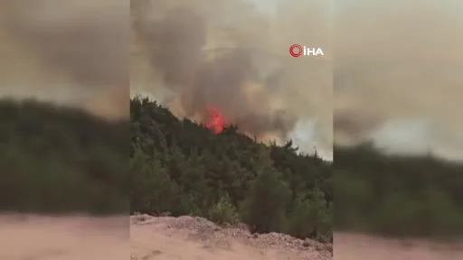 Sındırgı’da orman yangınına havadan ve karadan müdahale sürüyor