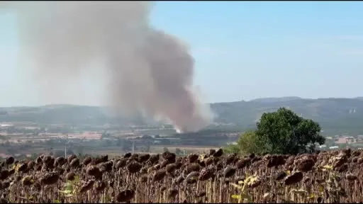 Mudanya’da korkutan yangın: Havadan ve karadan müdahale ediliyor