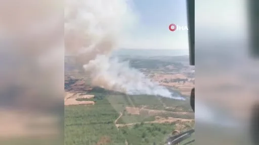 Bursa’da tarım arazisinde başlayan yangın ormanlık alana sıçradı