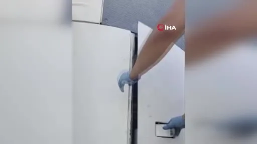 Sınır kapısında incir yüklü tırda 45 adet silah ele geçirildi
