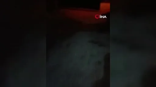 Mahalledeki ’Gulyabani’ nöbeti devam ediyor