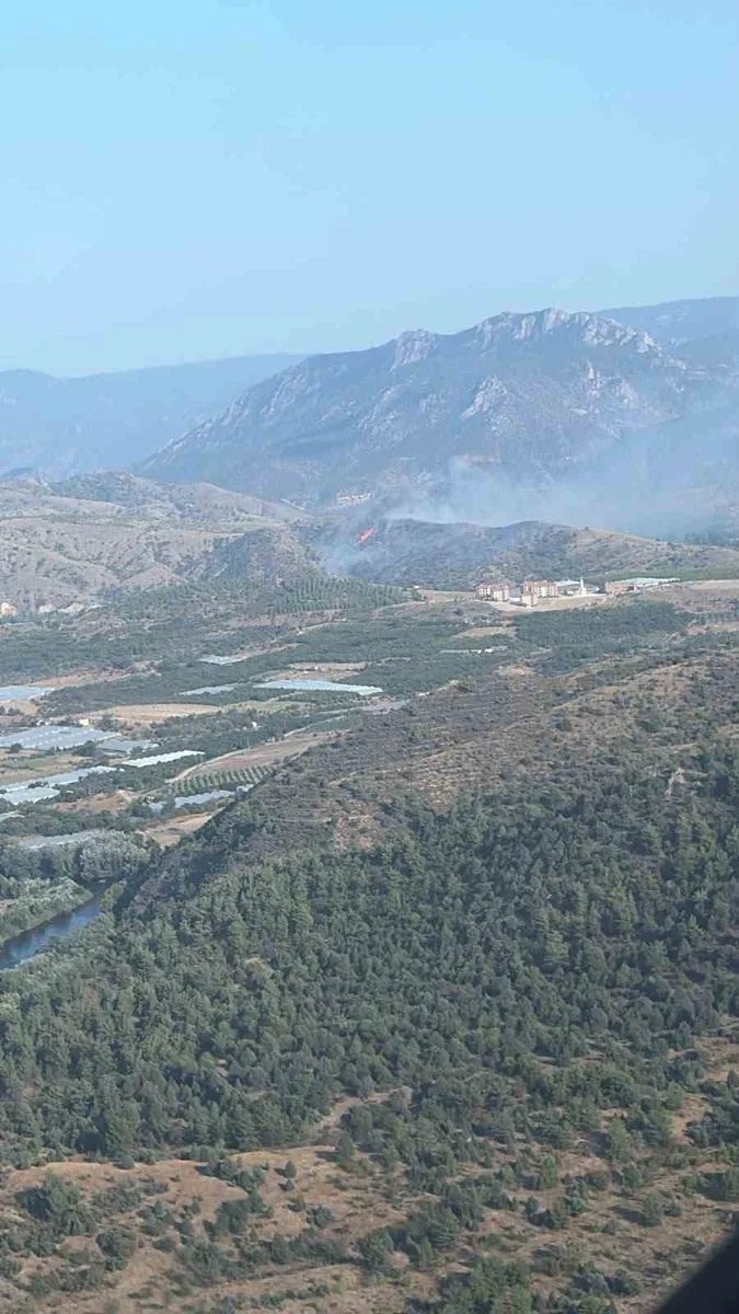 Bilecik’te orman yangını kontrol altına alındı