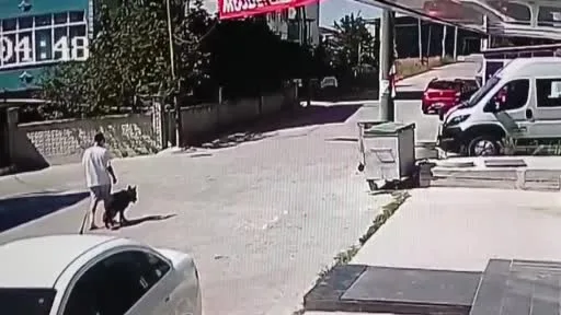 Köpeğini gezdirirken başka bir köpeğin saldırısına uğradı