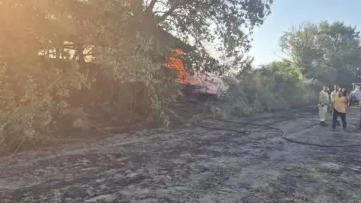 Bursa’da depo ve tarlalık alanda yangın