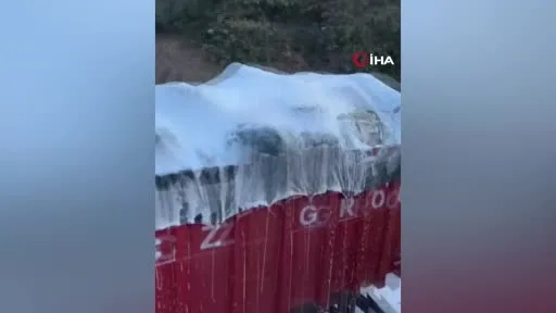 Talaş yüklü tır alevlere teslim oldu