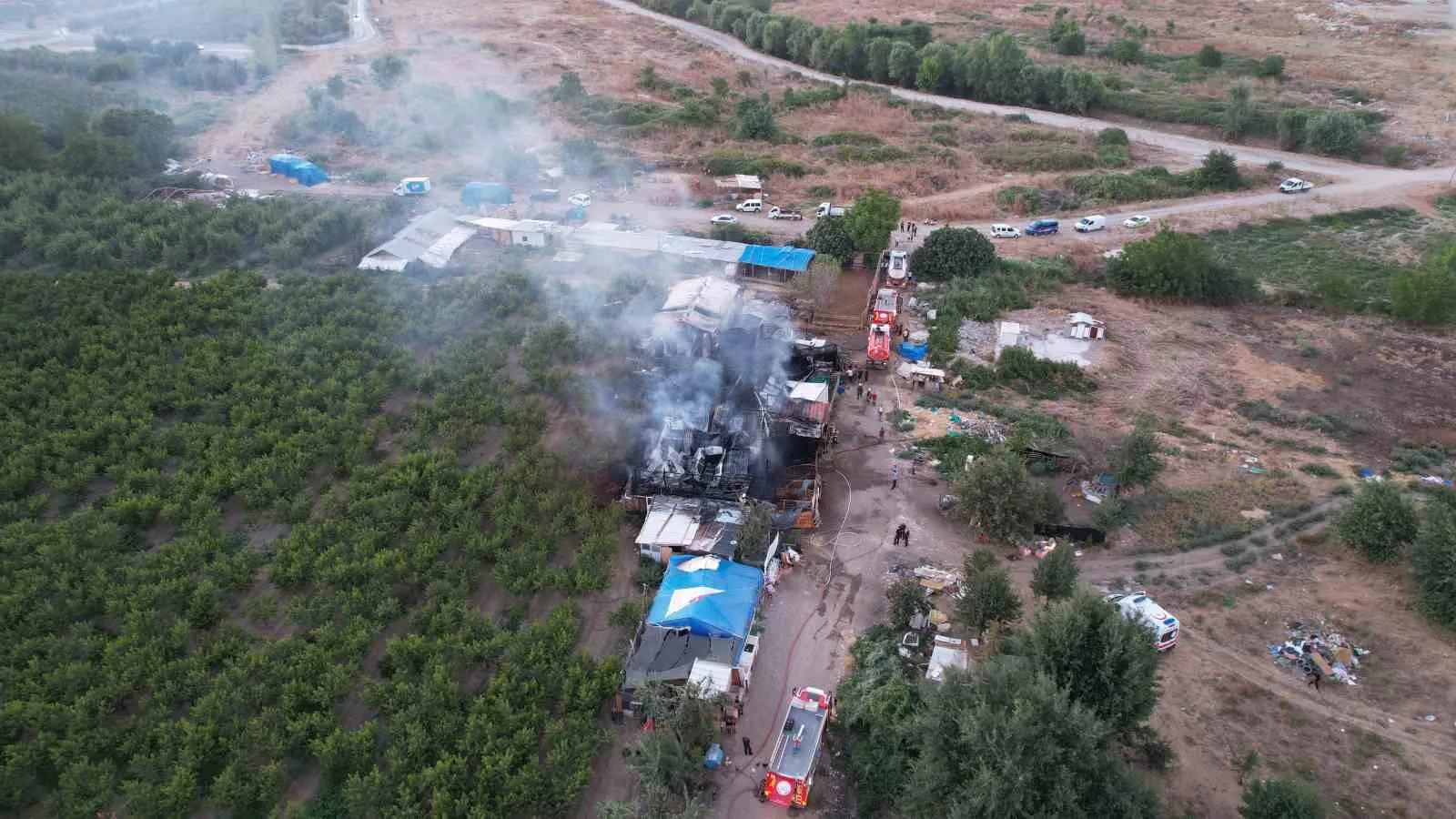Bursa’da çiftlik alev alev yandı: Olay yeri dron ile görüntülendi