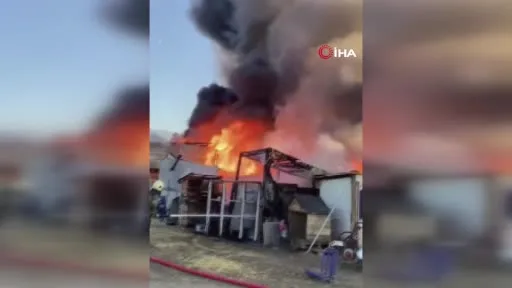 Bursa’da çiftlik alev alev yandı: Olay yeri dron ile görüntülendi