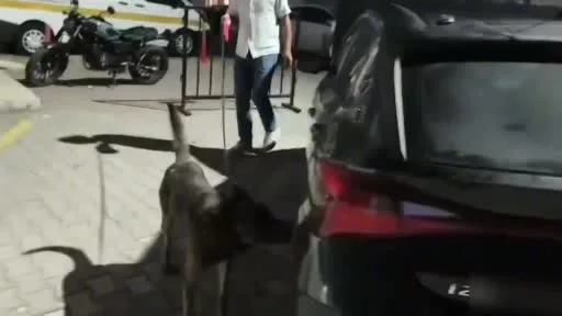 İstanbul’dan uyuşturucu sevkiyatı Sakarya’da durduruldu: 4 tutuklama