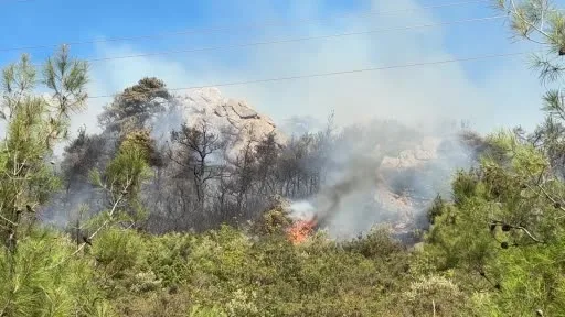 Uludağ’ın eteklerindeki orman yangınına helikopterler müdahaleye başladı