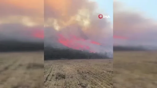 Bursa’da tarım alanlarındaki yangına itfaiye ve ormandan seri müdahale