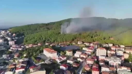 Sultanbeyli’deki orman yangınıyla ilgili 2 şüpheli tutuklandı
