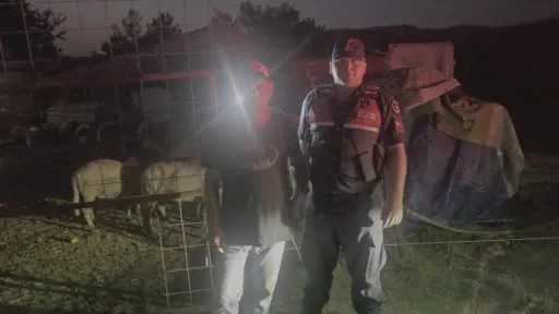 Firar eden 50 koyun jandarmanın dronu ile bulundu