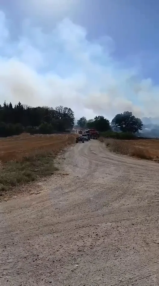 Arazide çıkan yangın, ekiplerin hızlı müdahalesiyle söndürüldü