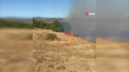 Arazide çıkan yangın, ekiplerin hızlı müdahalesiyle söndürüldü