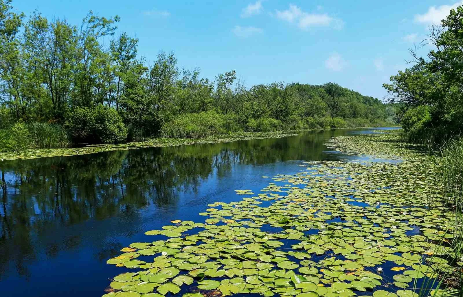 Sakarya’nın yeşil güzelliklerine 550 bin ziyaretçi uğradı