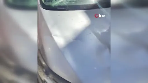 Büyükçekmece’deki "park kavgasına" ilişkin soruşturma başlatıldı
