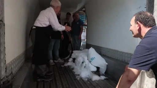 Çanakkale’de yakalanan devasa kılıç balığı 2 gün boyunca Beylikdüzü’nde sergilenecek