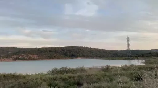 Ayvacık Barajı’nda toplu balık ölümleri