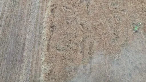 Yargıya takılan "Dünyanın en büyük organik işletmesi" sonucu bekliyor