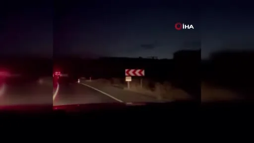 Karacabey’de kamyonet ağaçlara çarptı