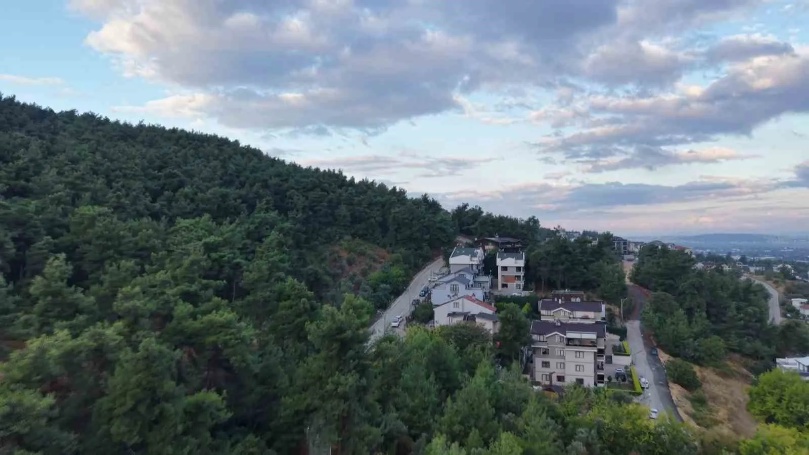 Mahallede ’Ayı’ korkusu