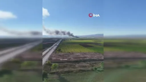 İhraç edilen siyah incirlerin işlendiği soğuk hava deposunda yangın sürüyor