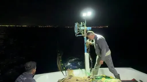 Fırtına balık tezgahlarını hareketlendirdi: Karaburun’da palamut bolluğu