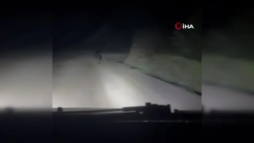 Yayla yolunda doğanın beklenmedik sürprizi