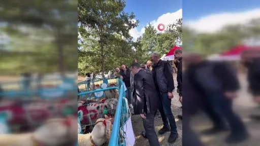 Bilecik’te 166 bin küçükbaş için koç katım dönemi başladı