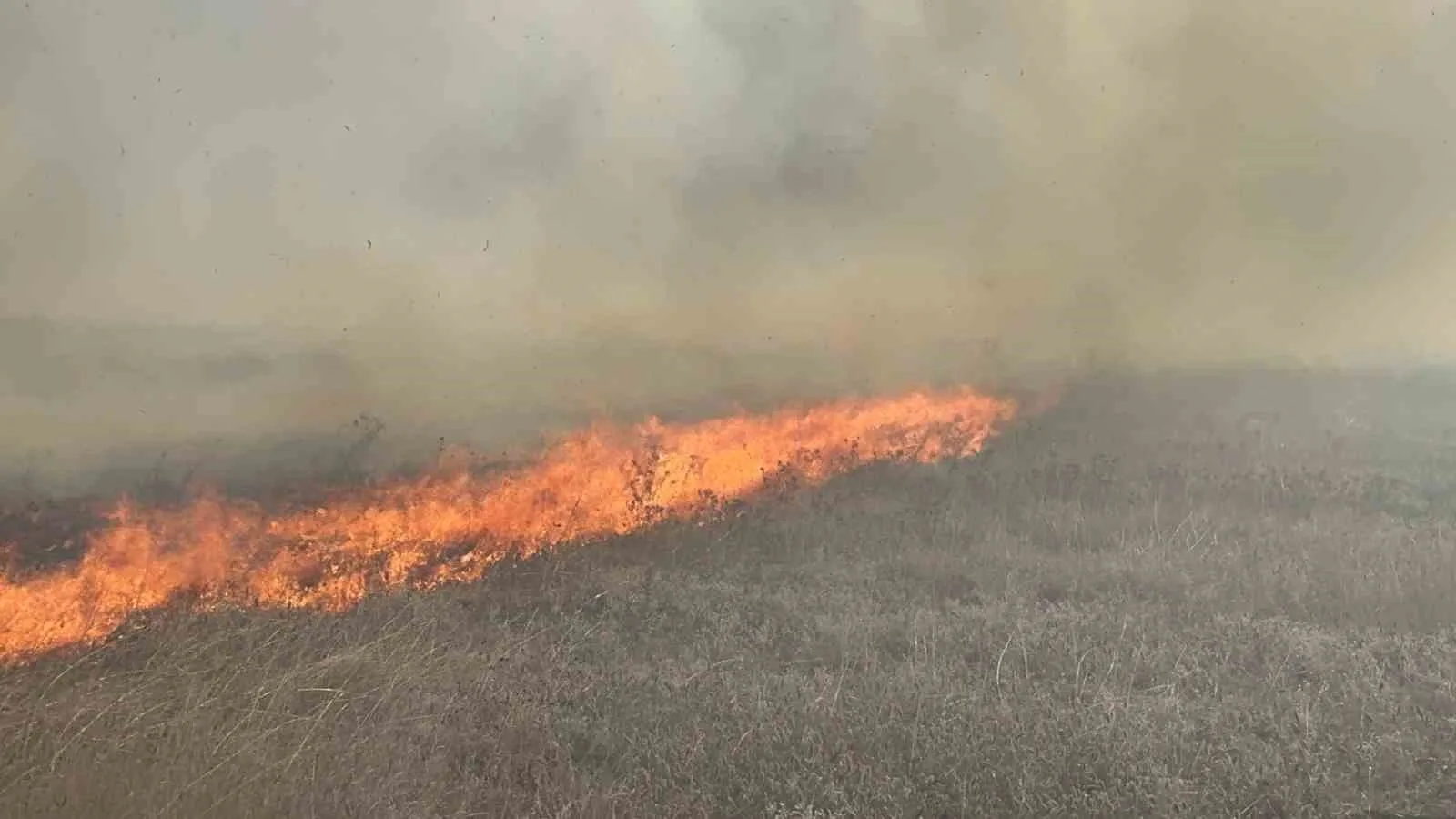 Tekirdağ’da mera yangını