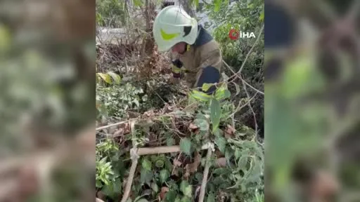 Edirne’de 10 metrelik kuyuda mahsur kalan kedi yavrusunu itfaiye kurtardı