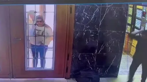 Hırçın kedi hırsızlara geçit vermedi; O anlar kamerada