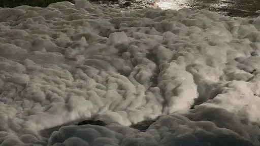 İzmit’te sahildeki köpükler merak uyandırdı