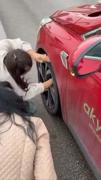 Yola atlayan kedi aracın tekerine sığındı, kurtarma anı kamerada