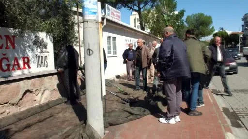 Balıkesir’de zeytin hasadında makineleşme teşvik ediliyor