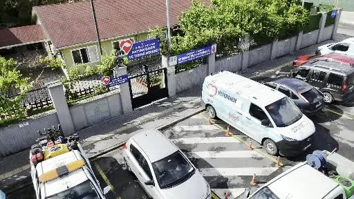 Bahçelievler Belediyesi, sokak hayvanlarına 28 bin 600 poliklinik hizmeti verdi
