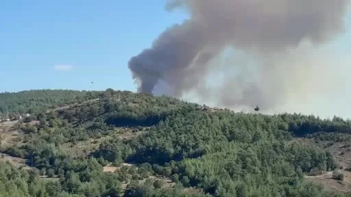 Büyükorhan’da orman yangını: Ekipler bölgeye sevk edildi