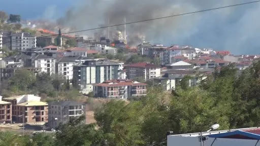 Alevlerin arasından kurtarılan kaplumbağaya vatandaş sahip çıktı