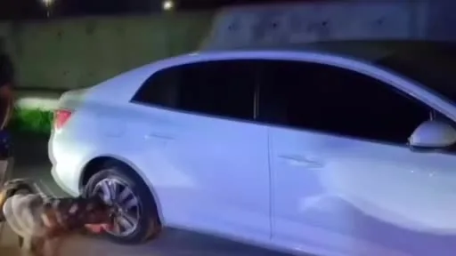Pes dedirten yöntem: Uyuşturucuyu evcil hayvan pusetine gizlediler