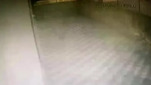 Pendik’te hafriyat kamyonu binaya çarptı: 1 yaralı