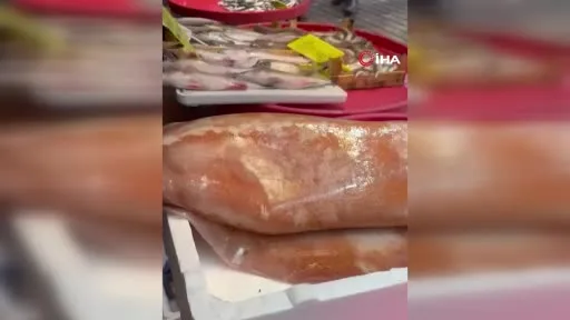 Bandırmalı balıkçı Bozcaada açıklarında 15 kiloluk kalamar yakaladı