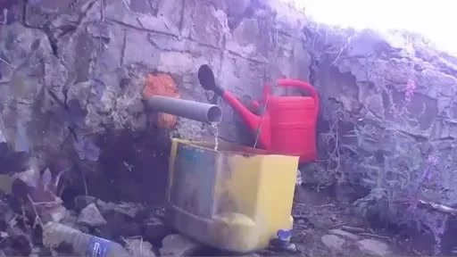 Muratlı’da fotokapan yaban hayatını kaydetti: Gelincik, çakal ve domuz sürüsü görüntülendi